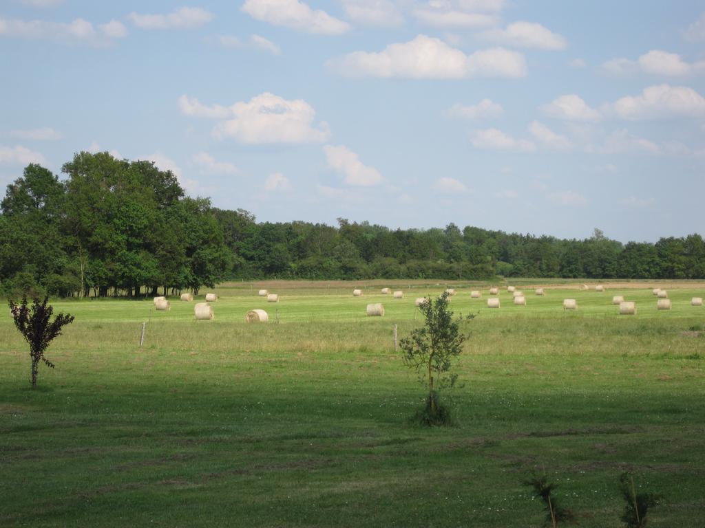 La Petite Grange Villa Lorignac Ruang foto